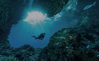 Diving e Snorkeling a Sharm: Confronto e Consigli